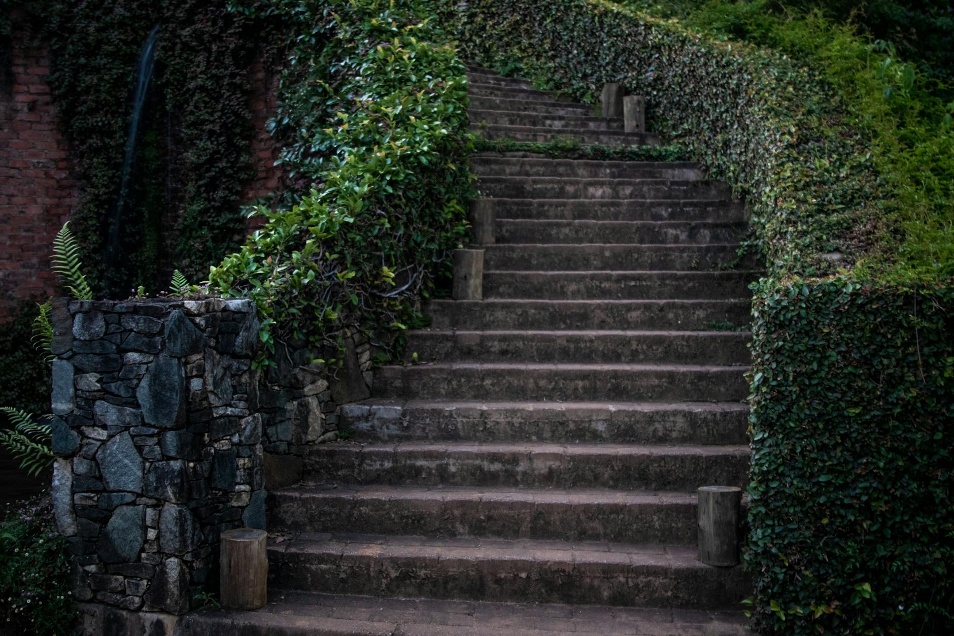 Brick pathway walkway through garden with stone path design